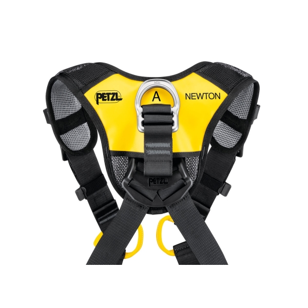 NEWTON FAST versión internacional